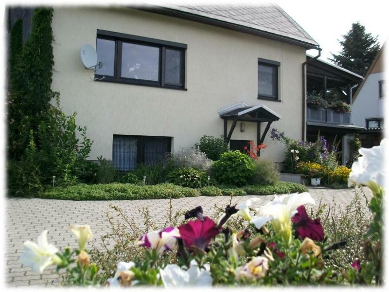 Fewo Hoyer Daire Hinterhermsdorf Dış mekan fotoğraf