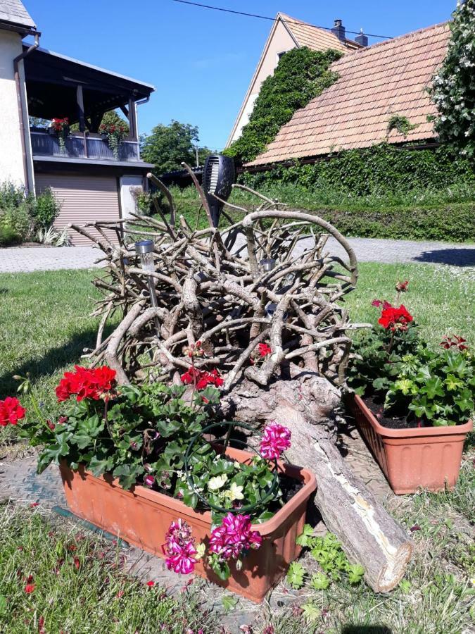 Fewo Hoyer Daire Hinterhermsdorf Dış mekan fotoğraf